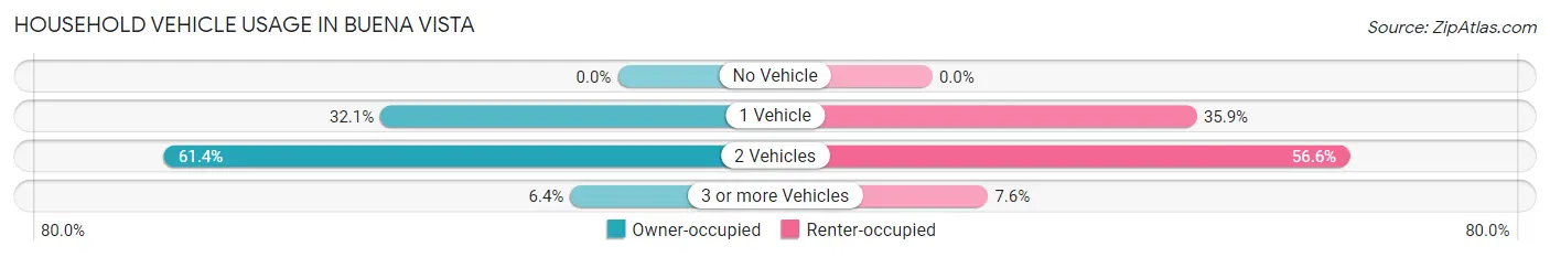 Household Vehicle Usage in Buena Vista