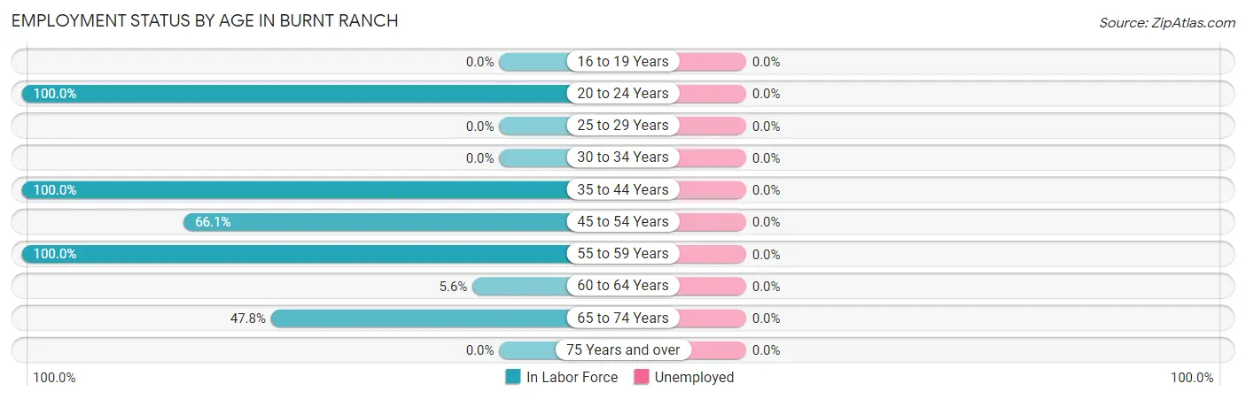Employment Status by Age in Burnt Ranch