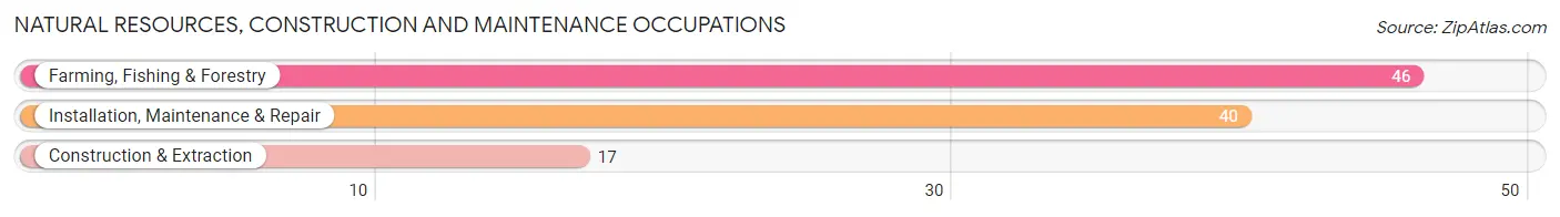 Natural Resources, Construction and Maintenance Occupations in Buttonwillow