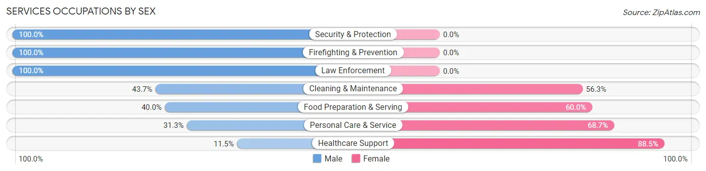 Services Occupations by Sex in Calexico