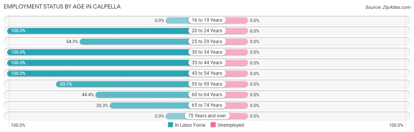 Employment Status by Age in Calpella