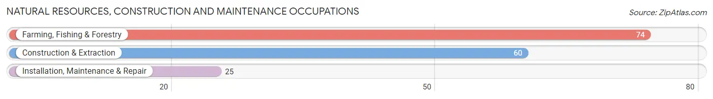 Natural Resources, Construction and Maintenance Occupations in Calpella