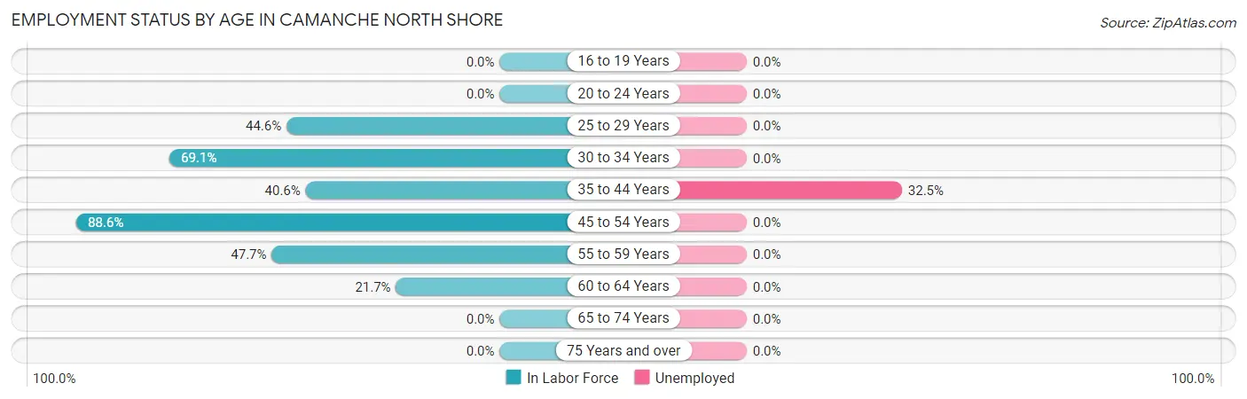 Employment Status by Age in Camanche North Shore