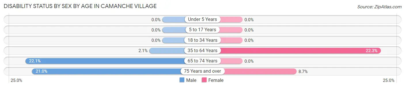 Disability Status by Sex by Age in Camanche Village