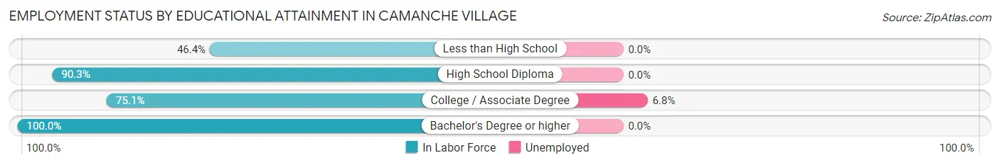 Employment Status by Educational Attainment in Camanche Village