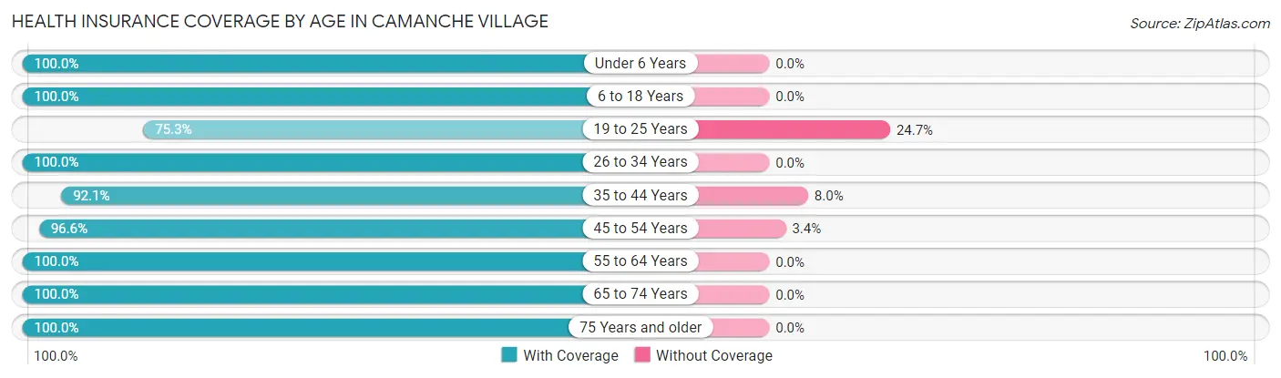 Health Insurance Coverage by Age in Camanche Village
