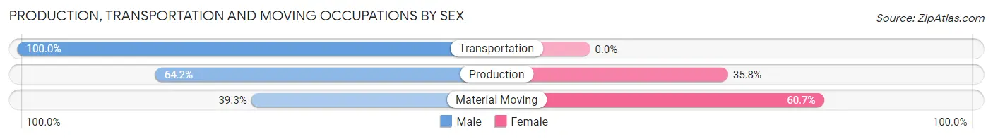 Production, Transportation and Moving Occupations by Sex in Camanche Village