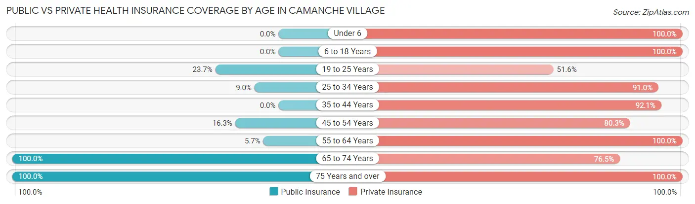Public vs Private Health Insurance Coverage by Age in Camanche Village