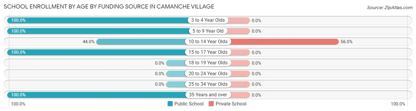 School Enrollment by Age by Funding Source in Camanche Village