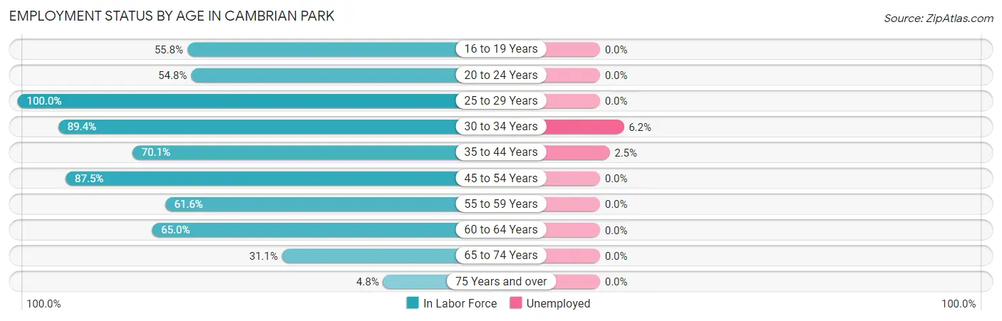 Employment Status by Age in Cambrian Park