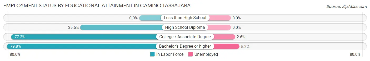 Employment Status by Educational Attainment in Camino Tassajara