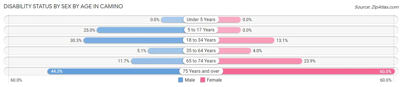 Disability Status by Sex by Age in Camino