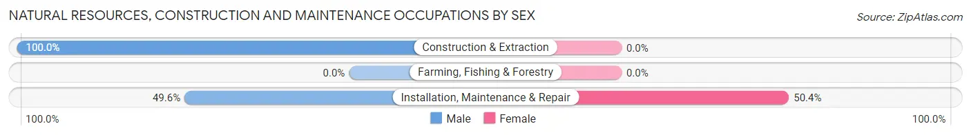 Natural Resources, Construction and Maintenance Occupations by Sex in Camp Pendleton South