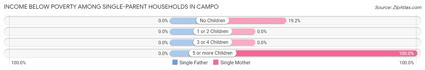 Income Below Poverty Among Single-Parent Households in Campo