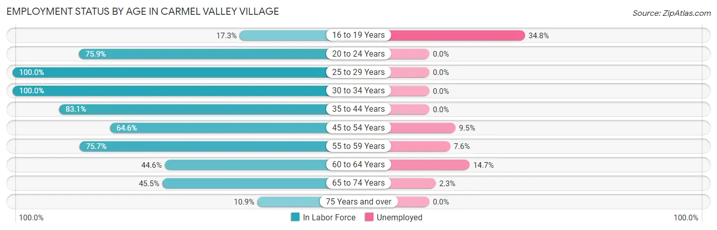Employment Status by Age in Carmel Valley Village