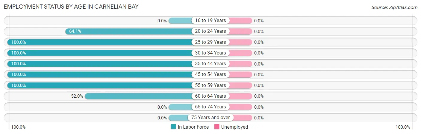Employment Status by Age in Carnelian Bay