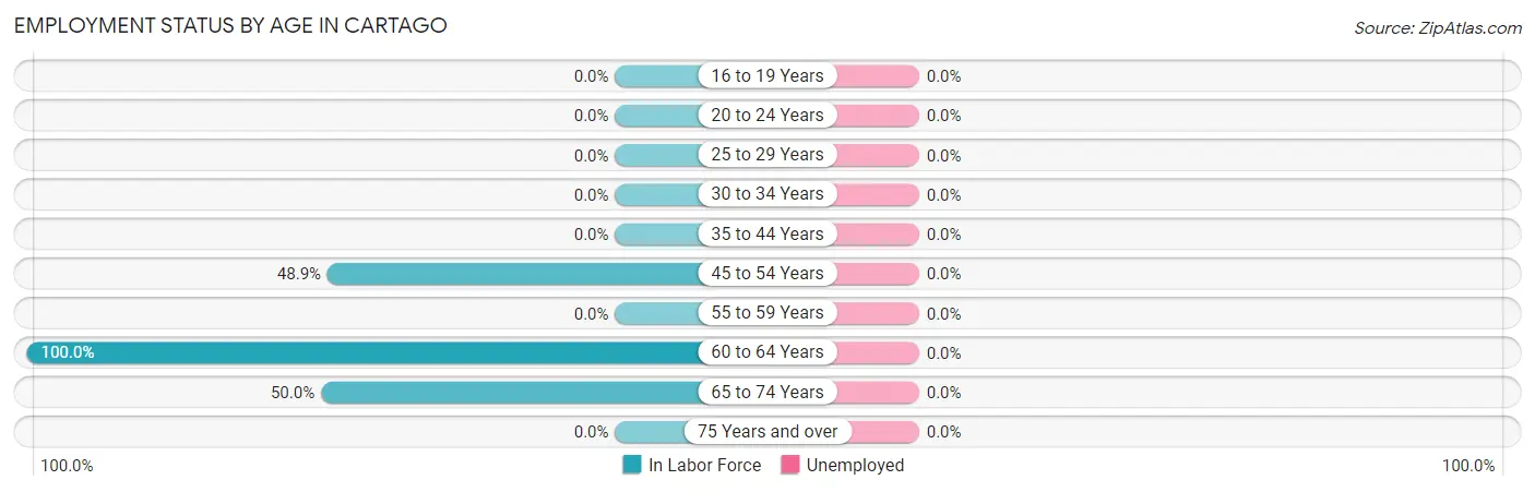 Employment Status by Age in Cartago