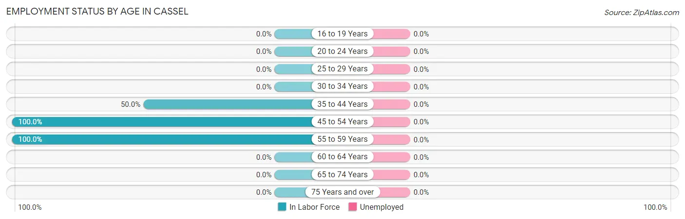 Employment Status by Age in Cassel
