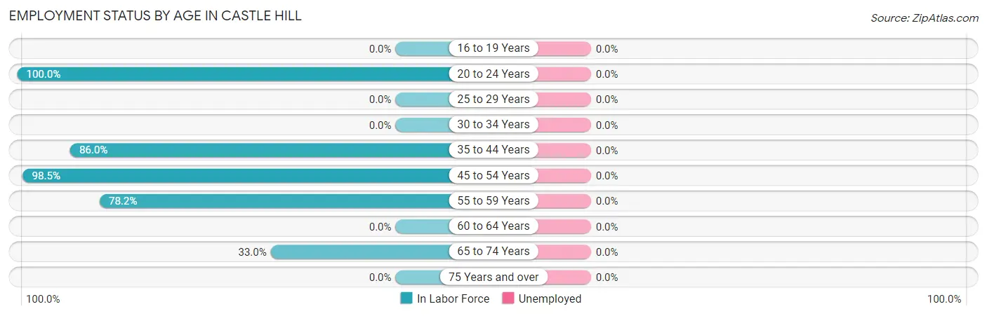 Employment Status by Age in Castle Hill