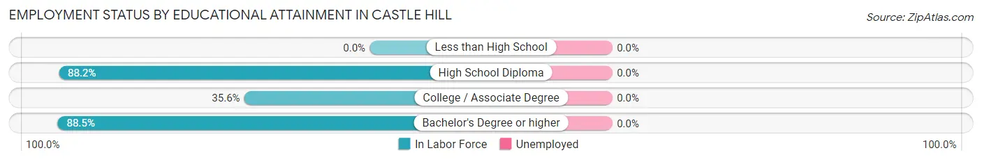Employment Status by Educational Attainment in Castle Hill