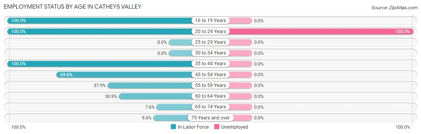 Employment Status by Age in Catheys Valley