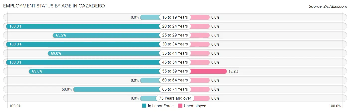 Employment Status by Age in Cazadero
