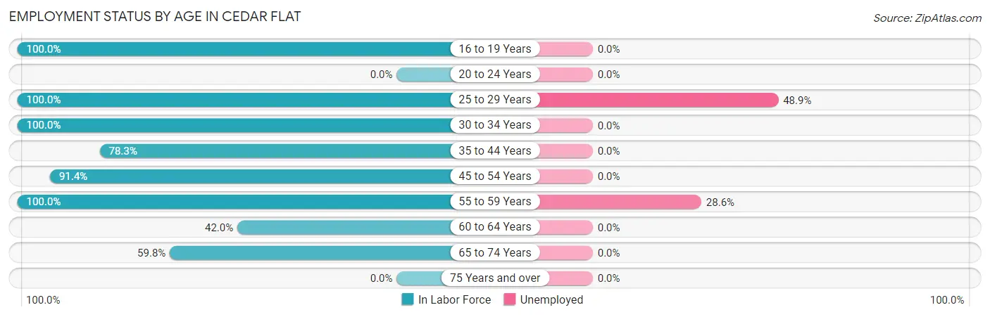 Employment Status by Age in Cedar Flat
