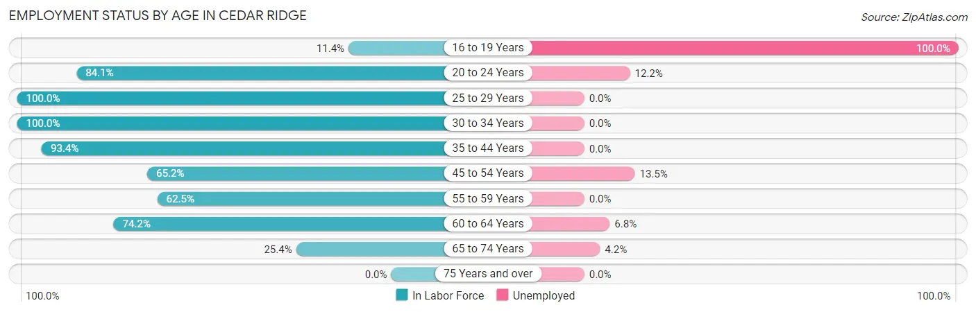 Employment Status by Age in Cedar Ridge