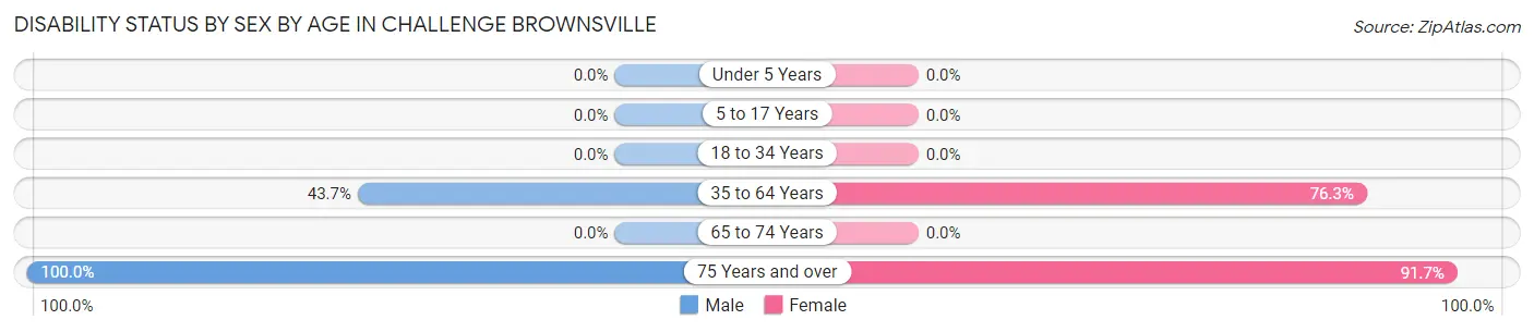 Disability Status by Sex by Age in Challenge Brownsville