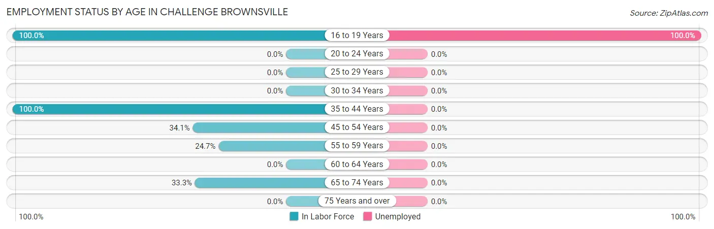 Employment Status by Age in Challenge Brownsville
