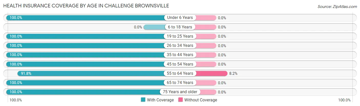 Health Insurance Coverage by Age in Challenge Brownsville