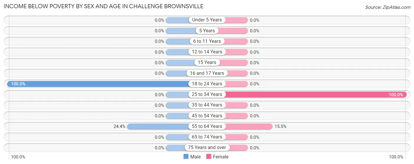 Income Below Poverty by Sex and Age in Challenge Brownsville