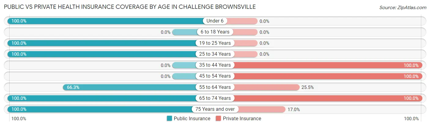 Public vs Private Health Insurance Coverage by Age in Challenge Brownsville