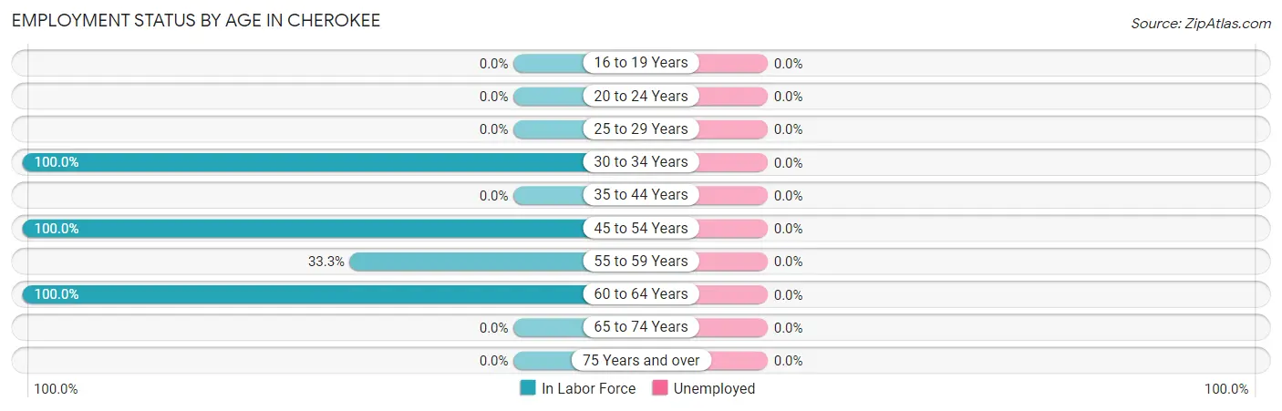 Employment Status by Age in Cherokee