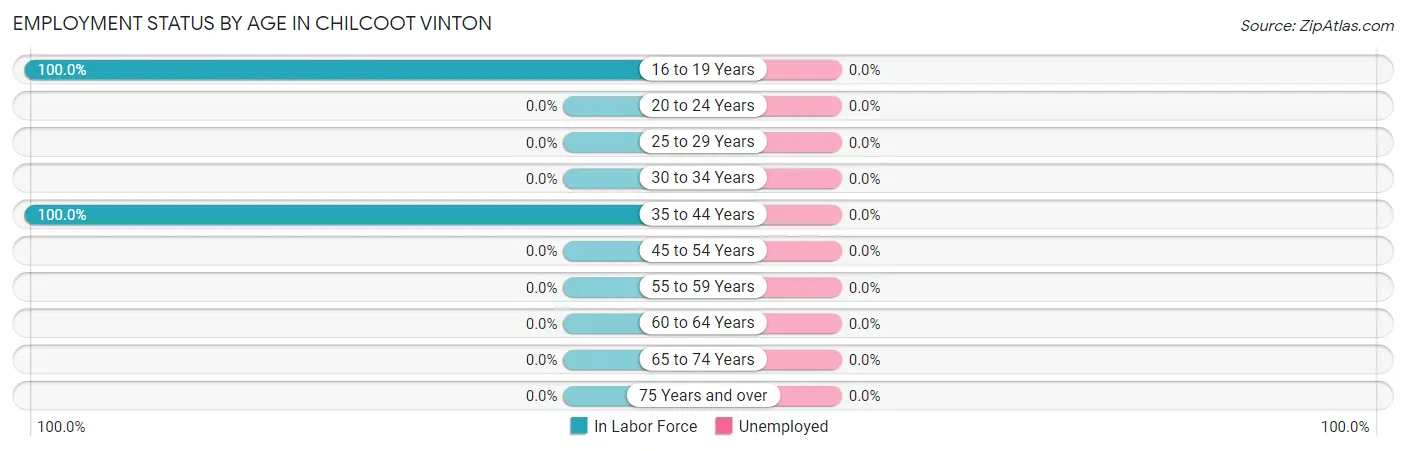 Employment Status by Age in Chilcoot Vinton