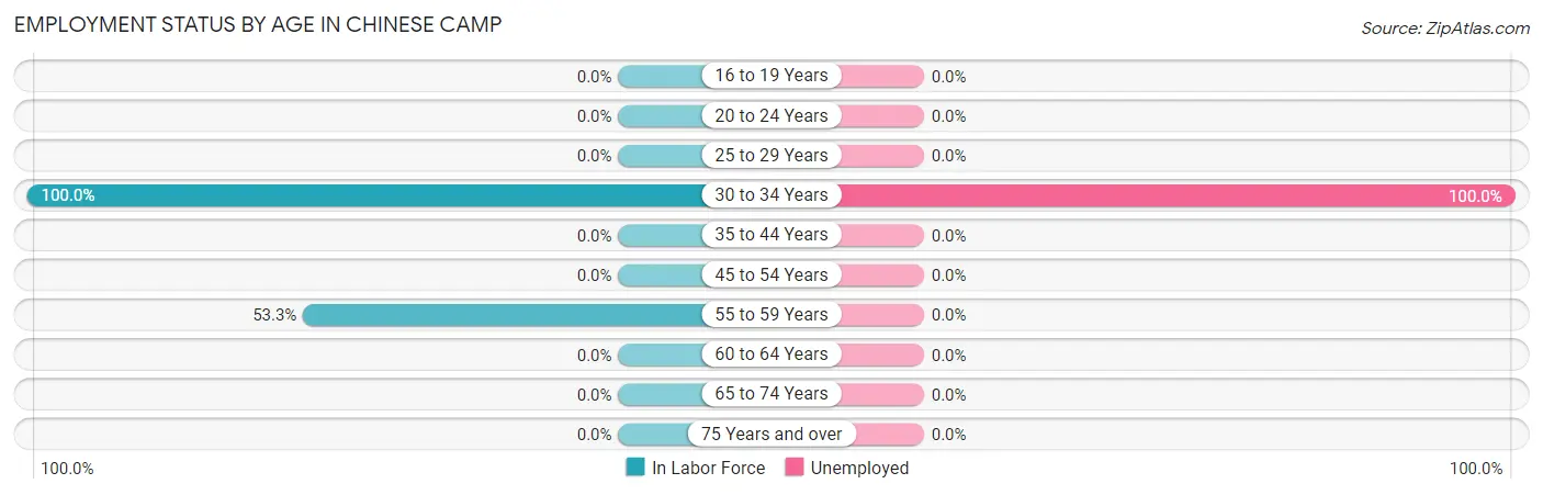 Employment Status by Age in Chinese Camp