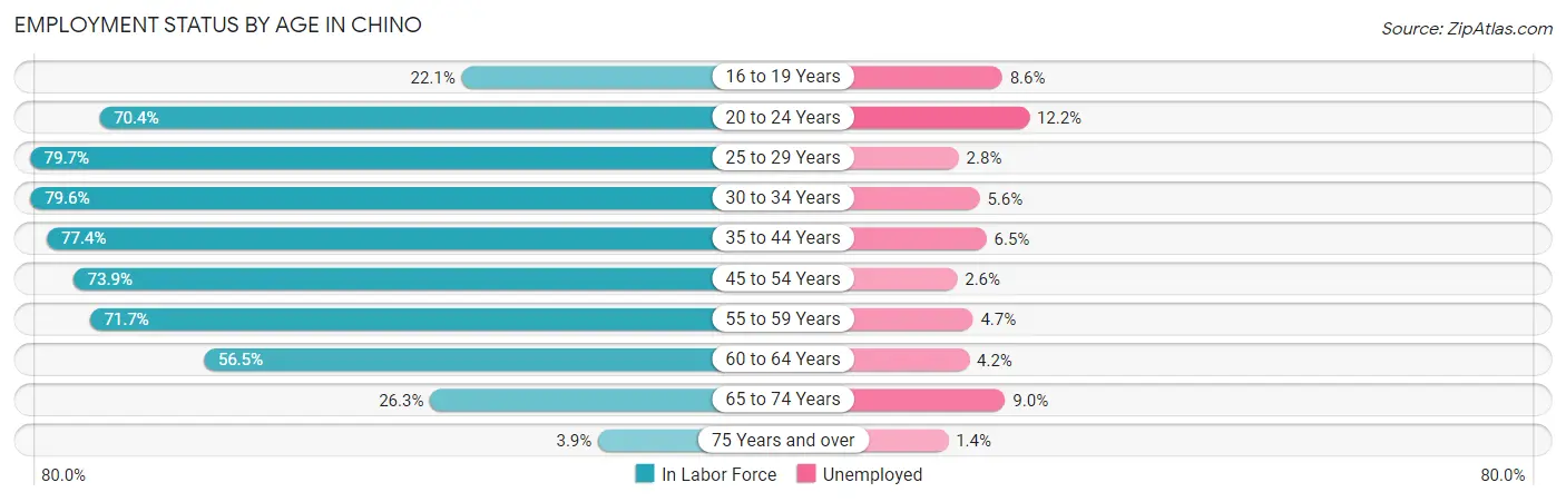 Employment Status by Age in Chino