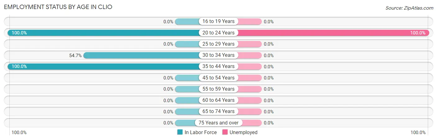 Employment Status by Age in Clio