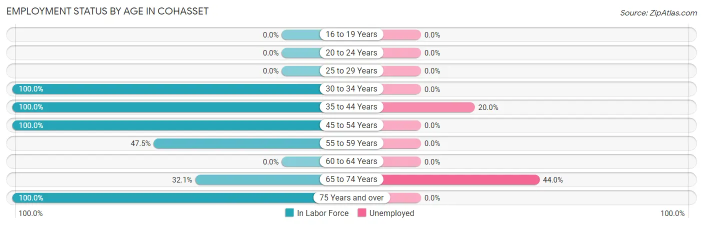 Employment Status by Age in Cohasset