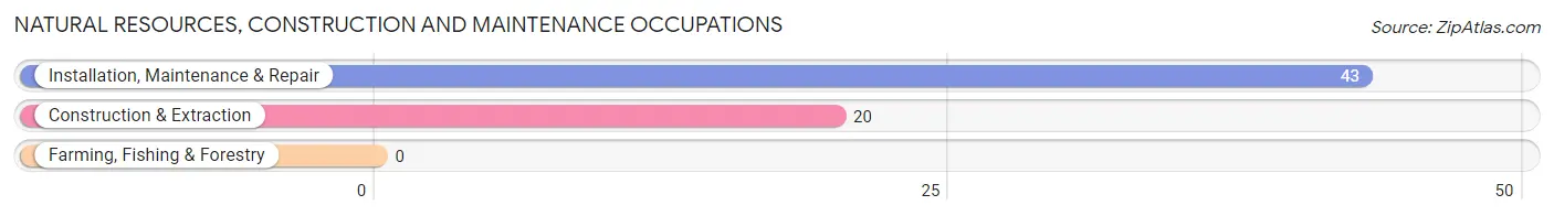 Natural Resources, Construction and Maintenance Occupations in Cohasset