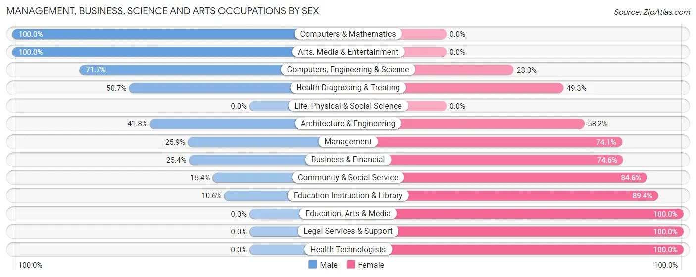 Management, Business, Science and Arts Occupations by Sex in Commerce