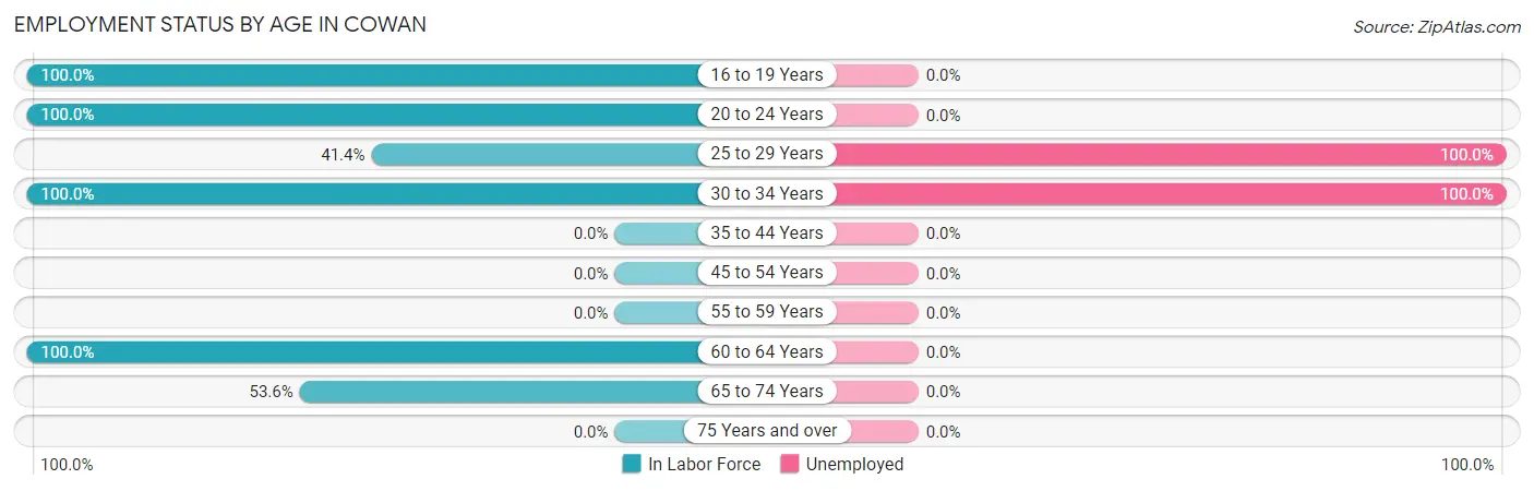 Employment Status by Age in Cowan