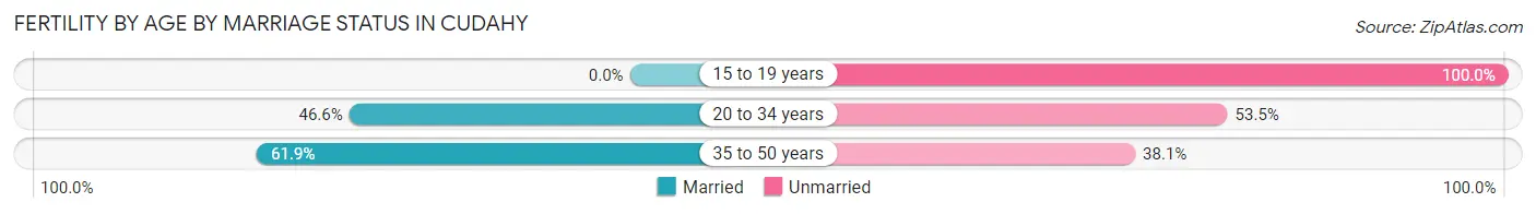 Female Fertility by Age by Marriage Status in Cudahy