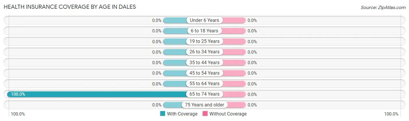 Health Insurance Coverage by Age in Dales