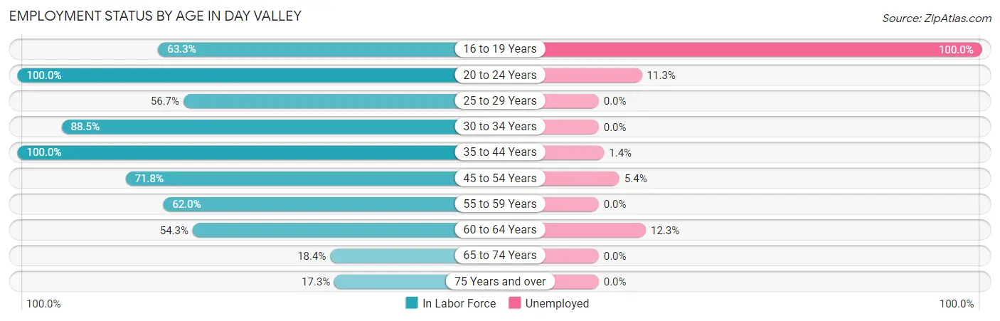 Employment Status by Age in Day Valley