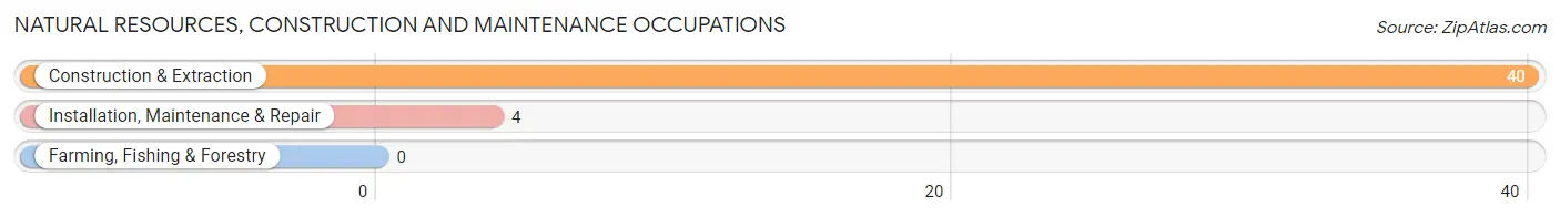 Natural Resources, Construction and Maintenance Occupations in Del Monte Forest