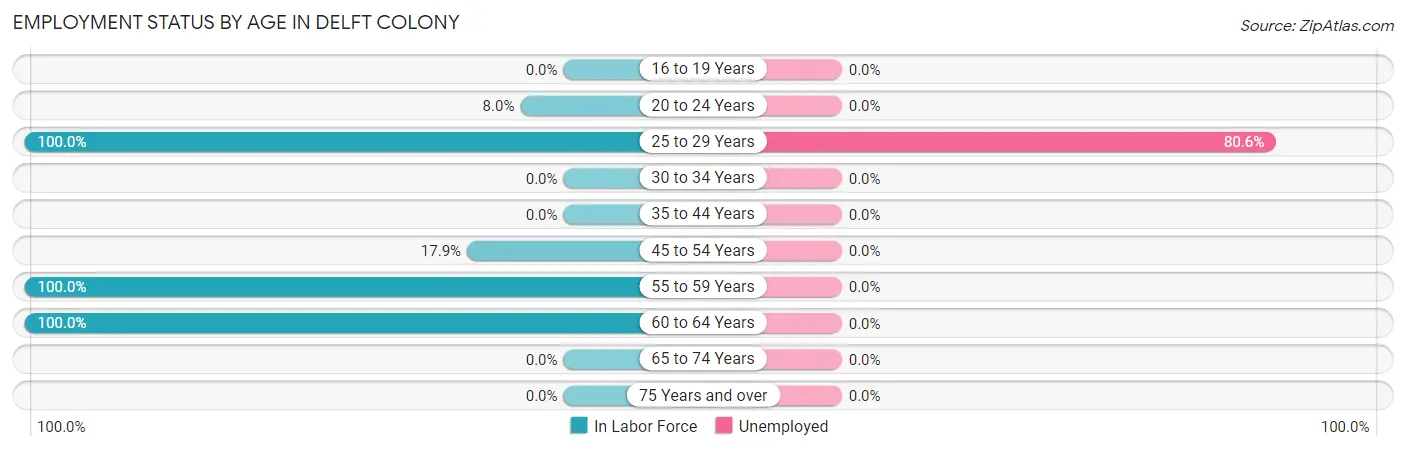 Employment Status by Age in Delft Colony