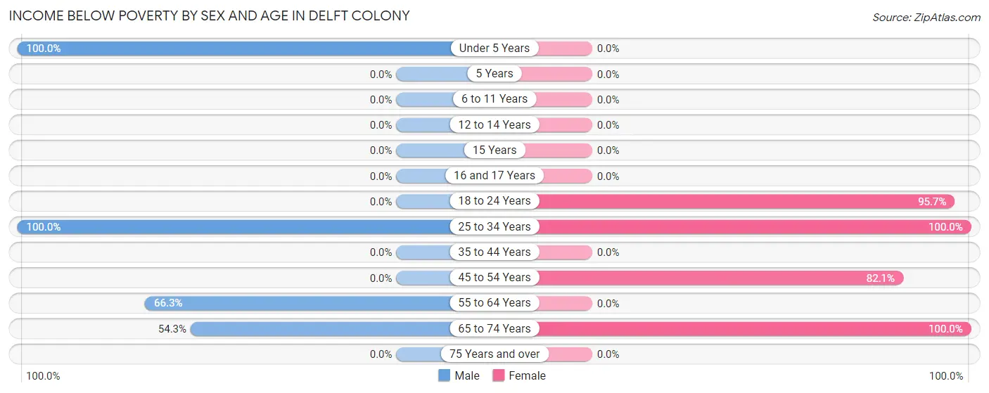 Income Below Poverty by Sex and Age in Delft Colony