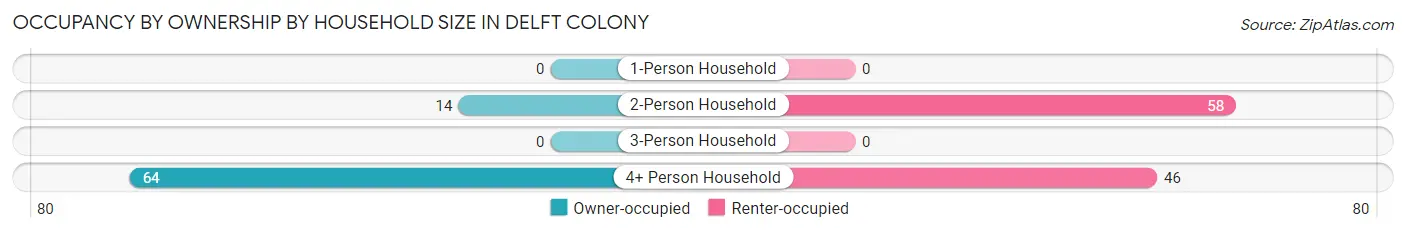 Occupancy by Ownership by Household Size in Delft Colony