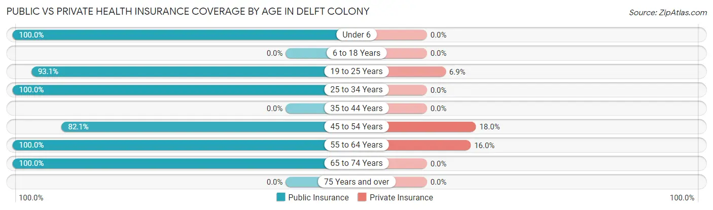 Public vs Private Health Insurance Coverage by Age in Delft Colony